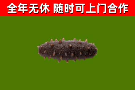 齐齐哈尔市烟酒回收干海参.jpg